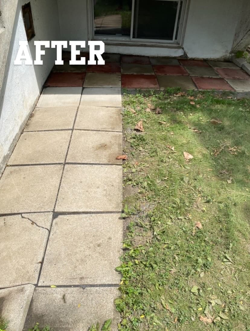 After - Backyard pressure washing before and after