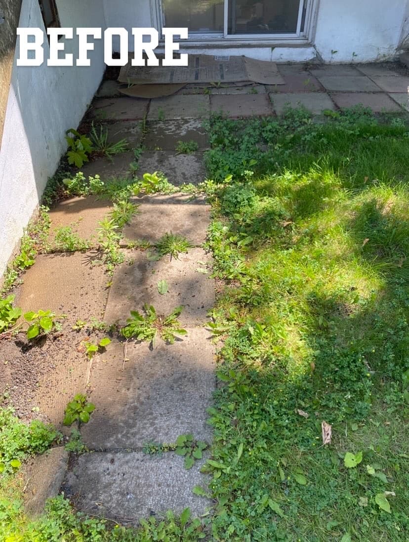 Before - Backyard pressure washing before and after